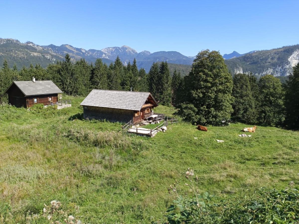 Jeff'S - Rooms With A Mountain View Bad Goisern Εξωτερικό φωτογραφία