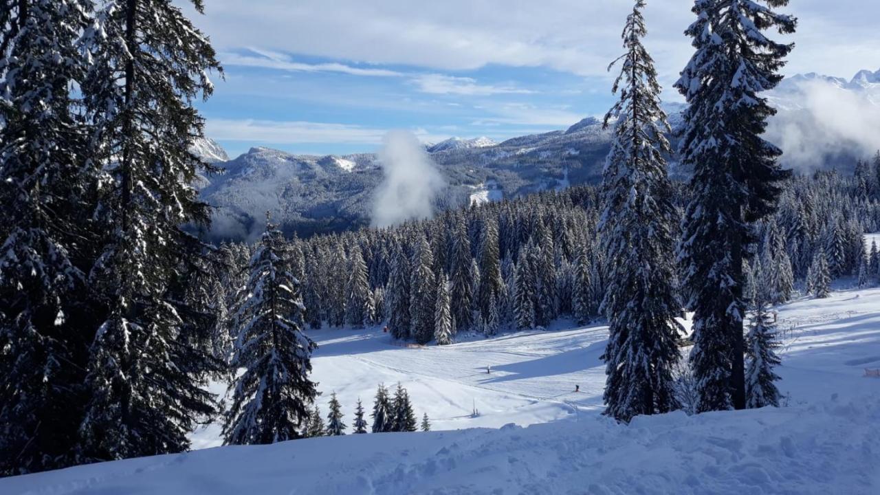 Jeff'S - Rooms With A Mountain View Bad Goisern Εξωτερικό φωτογραφία