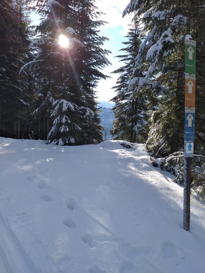 Jeff'S - Rooms With A Mountain View Bad Goisern Εξωτερικό φωτογραφία