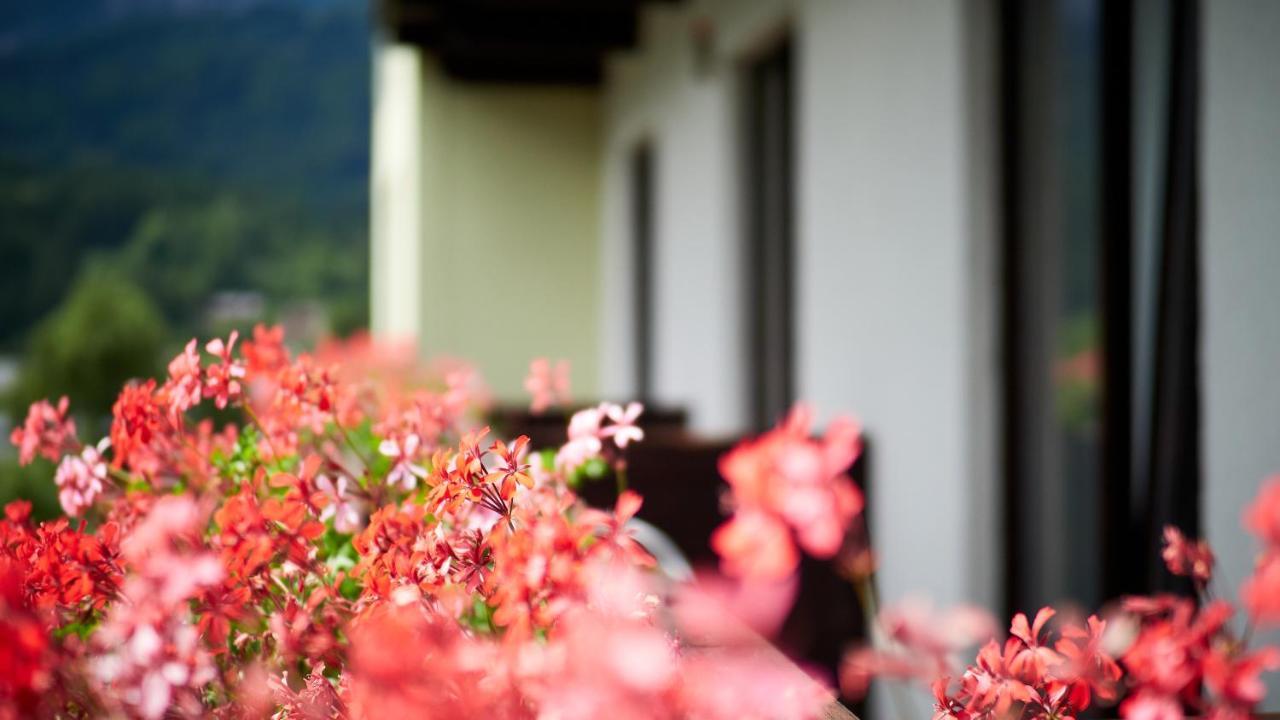 Jeff'S - Rooms With A Mountain View Bad Goisern Εξωτερικό φωτογραφία